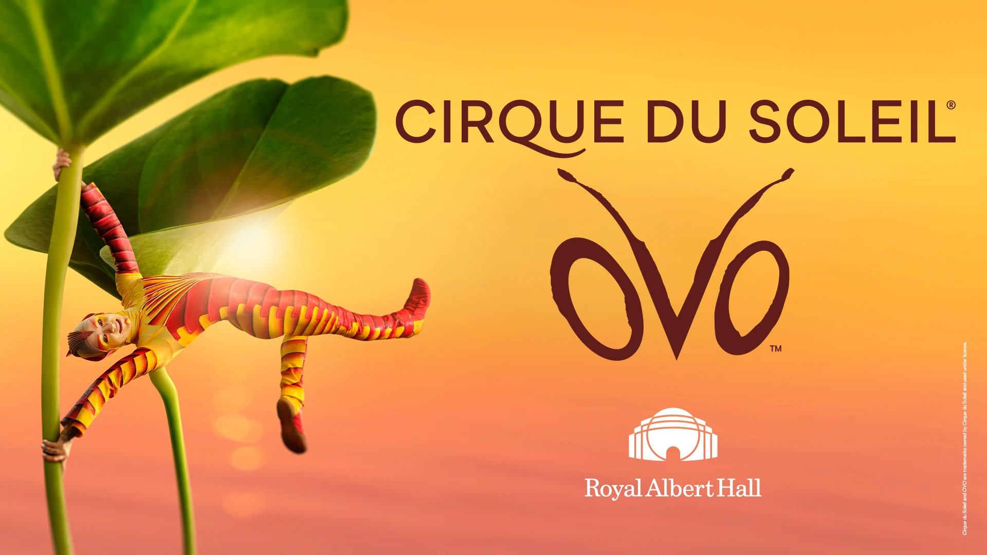 Cirque du Soleil OVO at the London Coliseum