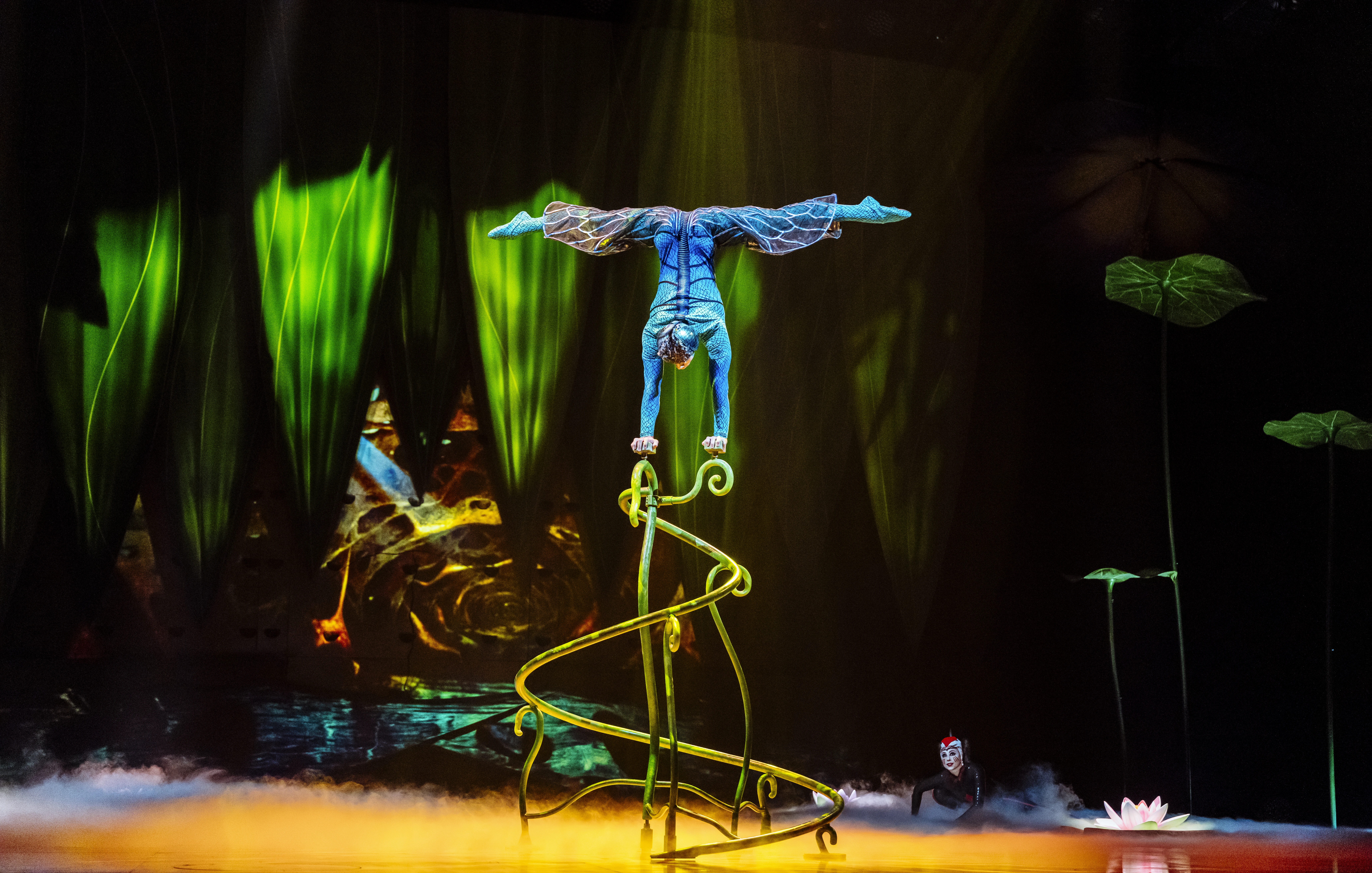 A performer balances on their hands with their legs in the air in a split at Cirque du Soleil's OVO at the London Coliseum